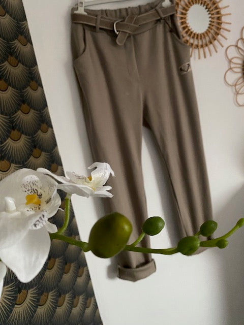 PANTALON 99 TAUPE  42AU 46