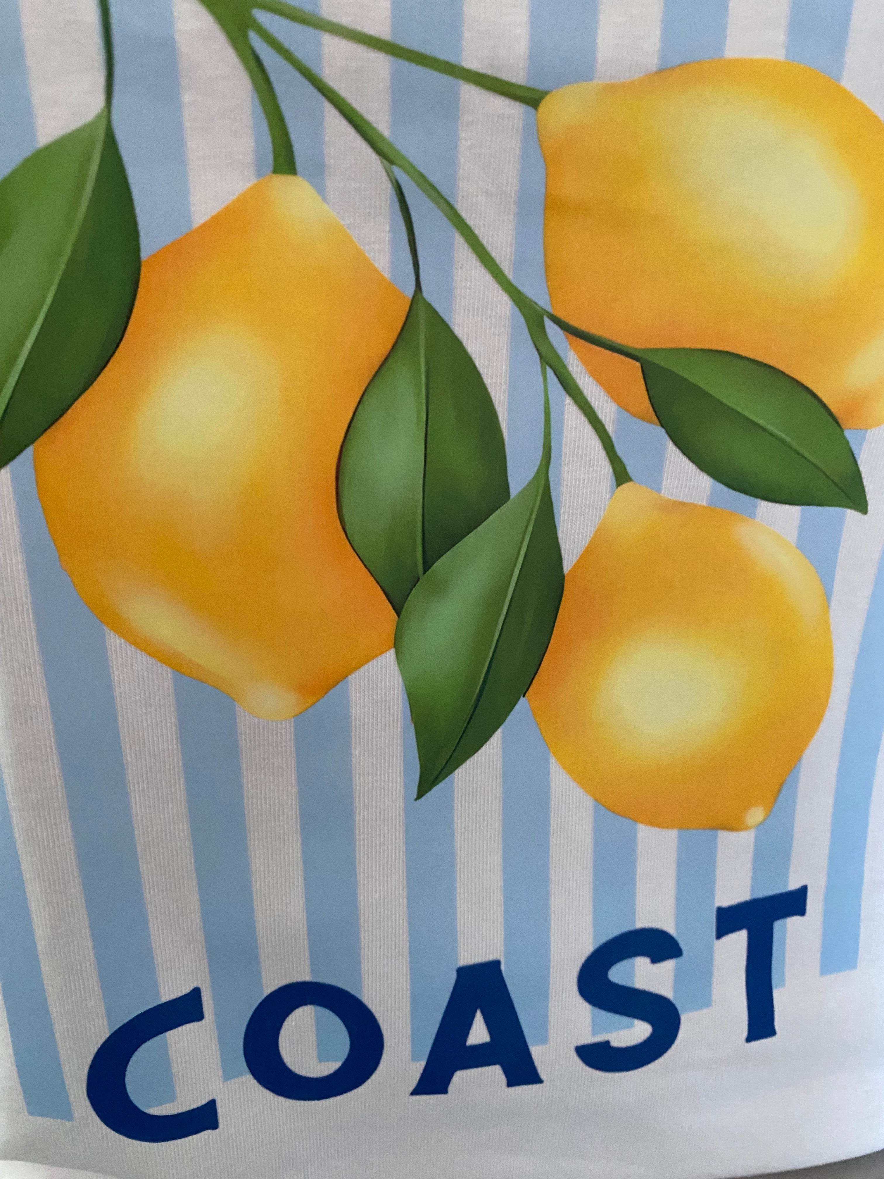 T-SHIRT AMALFI CITRON TU 36/44   BLEU